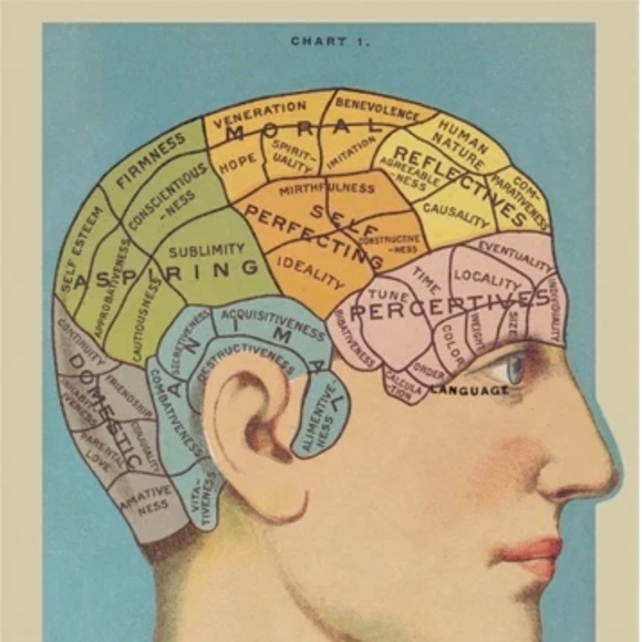 Cavallini & Co. Phrenology Vintage Image Chart, 20” x 28” Inch - NWT - Picture 2 of 5